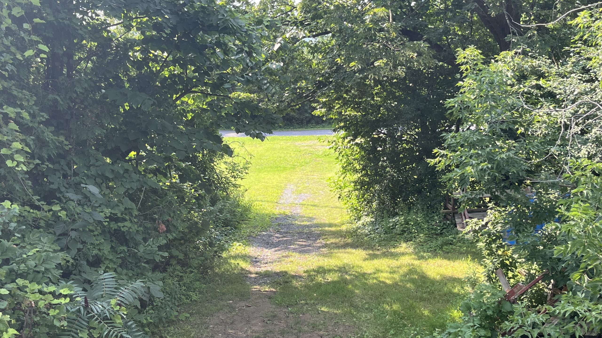 Trail leading to the main entrance road.