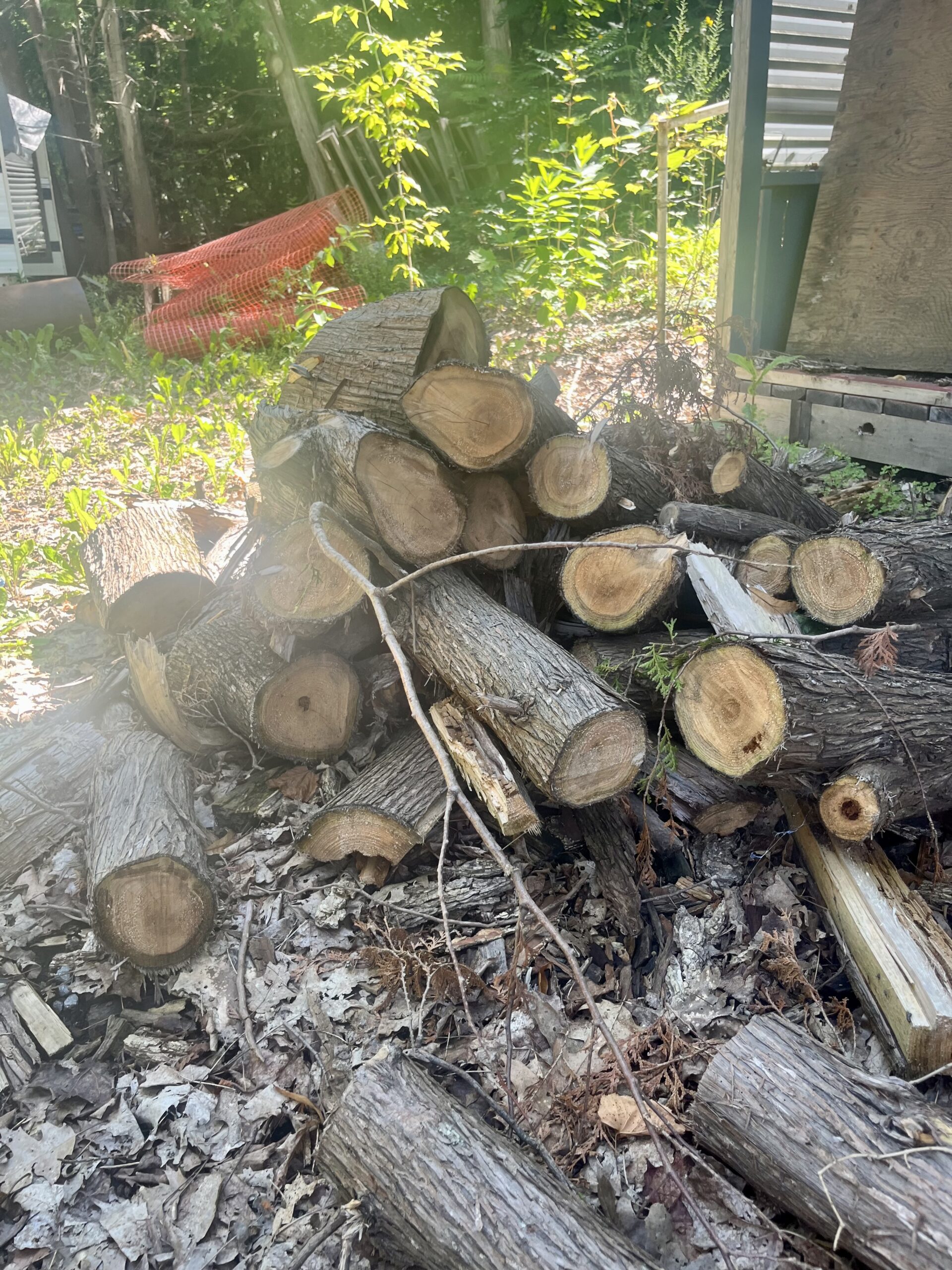 Firewood